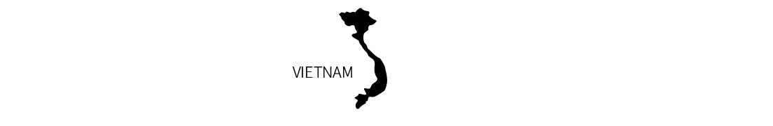 The word "Vietnam" is written out in all caps to the left of the black country map silhouette of Vietnam.