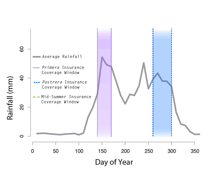 This gif shows the line graph illustrating the amount of rainfall (y-axis in millimeters) over the course of days of the year (x-axis, day of the year 0-350 marked on the axis). A purple band identifies the “Primera Insurance Coverage Window” and stays still during the animation. The blue bar identifying the “Postrera Insurance Coverage Window” shifts left and a green bar identifying “Mid-Summer Insurance Coverage Window” appears after the shift.