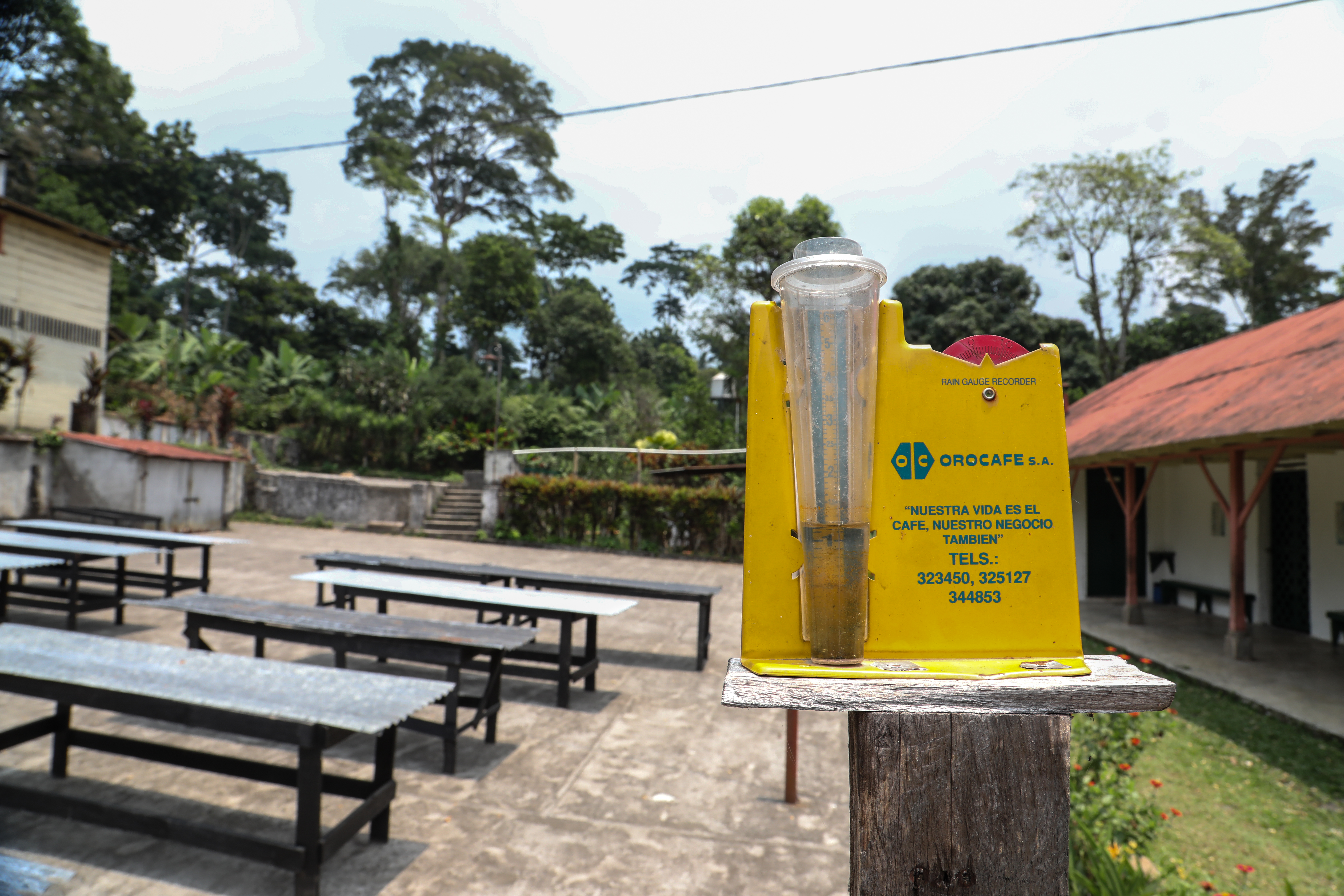 A rain gauge at a coffee farm in Guatemala. A series of low coffee-drying tables are in the background as well as a low building with a red corrugated roof. The rain guage is backed by yellow plastic which says "Orocafe" in green font. Photographer Elisabeth Gawthrop, ACToday/IRI.